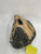 Used Mizuno PROSPECT BB/SB Catchers RH Throw Brown 31" 11871-S000019772 View 2