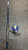 Used Shakespeare NAVIGATOR Fishing Rod Only 11831-S000029020 View 2