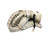 Used CCM E 4.9 Senior Goalie Catcher White 11768-S000225821 View 2