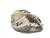 Used CCM E 4.9 Senior Goalie Catcher White 11768-S000225821 View 3