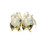 Used Adidas EE7283 Adult FB Cleats White Senior 12.5 11730-S000066376 View 5