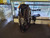 Used Callaway RAZR Mens Cart Bag Black 11523-S000160816 View 1