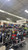 New SELECT POWER BBCOR 2026 11337-WILSPBBC2026 View 5