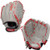 New Rawlings SURE CATCH BB/SB Glove LH Throw 10" 11906-RAWSC110MTFR View 1