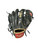 Used Rawlings GG ELITE BB/SB Glove RH Throw Black 12" 11885-S000187223 View 1