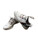 Used Foot Joy Womens Golf Shoes White Senior 4 11745-S000184094 View 1