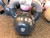 New VINL DIPPED KETTLEBEL 40LB 11339-801DF057B40 View 1