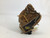 Used Wilson A450 10.75 RHT BB/SB GLOVE BB/SB Glove RH Throw Brown 10 3/4" 11752-S000068632 View 2