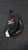 Used Mizuno GXC 112 BB/SB Catchers RH Throw Black 31 1/2" 11849-S000030830 View 1