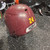 Schutt Baseball and Softball Baseball and Softball Helmets View 2