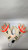 Used UNDRTD GOALIE GLOVES Soccer Goalie Gloves White 9 11907-S000014520 View 1