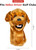 Golf Golf Accessories View 1