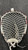 Used STX ECLIPSE 3  BOYS LATIN Mens Goalie Head Black 11162-S000435333 View 5