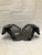 Champro Football Football Shoulder Pads View 2