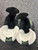 Used EDEA ASPIRE XP WomensFigure Skate White Senior 7 11162-S000435784 View 2