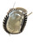 New Future Star Catching Mitt 11937-ASTCM-FS View 1