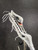 New BRINE DYNASTY II NXT COMPOSITE WHITE 11147-BRND2TXCOM3-WH View 3