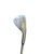 Used PURESPIN WEDGE Golf Wedge Mens RH Lob Wedge 11617-S000331688 View 1