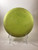 Used Discraft PL ROACH Disc Golf Putter Yellow 175g 10105-S000291613 View 1