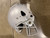 Used Riddell SPEED FB Helmet Grey MD 11605-S000207222 View 4