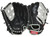New SURE CATCH AARON JUDGE 10.5" RHT 11860-RAWSC110AJR View 1