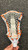 Used String King LEGEND W Womens Lacrosse Head White 11162-S000436967 View 3