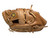 Used Wilson FORCE 3 BB/SB Glove LH Throw Brown 13" 11816-S000276263 View 2