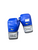 Used Everlast Boxing Gloves Royal Blue Senior 11617-S000332128 View 1