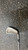 Used Titleist DCI 981 Mens Individual Iron RH 4 Iron 11831-S000030425 View 3
