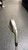 Used Titleist DCI 981 Mens Individual Iron RH 6 Iron 11831-S000030428 View 4
