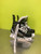 Used CCM TACKS VECTOR Junior Hockey Skate Junior 02 11686-S000046166 View 1