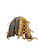 Used Wilson A2000 BB/SB Glove LH Throw Brown 11 1/2" 10299-S000301141 View 1