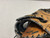 Used Mizuno GXF90 BB/SB First Base RH Throw None 12" 11490-S000266127 View 2