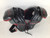 Riddell Football Football Shoulder Pads View 1