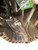 Used Rawlings FASTPITCH BB/SB Glove RH Throw None 12 1/2" 11884-S000053520 View 3