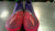 Used Adidas Soccer Cleats Purple Junior 01 11868-S000065886 View 2
