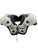 Used Riddell WARRIOR 11 FB SP LG FB Shoulder Pads White LG 11631-S000452696 View 1