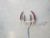 Used Odyssey SABERTOOTH XG WHITE HOT Mens Putter RH 10047-S000476472 View 2