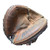 Used Mizuno PROSPECT MZC51 BB/SB Catchers LH Throw None 32" 11375-S000367264 View 1