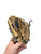 Used Easton Z FLEX 9IN RHT BB/SB Glove RH Throw Brown 9" 11842-S000222292 View 1