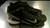 Used Nike CLEAT BB/SB Cleats Black Senior 9.5 11868-S000065994 View 1