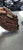 Used Wilson 800 BB/SB Glove RH Throw Brown 12 1/2" 11497-C000152827 View 2