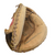 Used Rawlings THE MARK OF A PRO BB/SB Catchers RH Throw Brown 31" 11877-S000017503 View 3