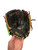 Used Rawlings PLAYMAKER SERIES BB/SB Glove RH Throw Black 10 1/2" 11884-S000053985 View 3