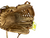 Used Rawlings GOLD GLOVE ELITE BB/SB Glove RH Throw Brown 11 1/2" 11613-S000169544 View 3