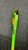 Used Easton BEAST TB BB/SB T-Ball Bat 25" 11162-S000438133 View 2