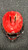 Used E-force HELMET Catchers Helmet w/Mask Red LG 11162-S000438185 View 2