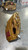 Used Rawlings FASTBACK BB/SB Glove RH Throw Brown 13 1/2" 11605-S000208878 View 2