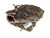 Used Rawlings FASTPITCH PRO RH Throw Fastpitch Gloves Brown 11" 11932-S000166818 View 2