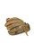 Used Wilson H75 A2000 BB/SB Glove RH Throw Brown 11 3/4" 11834-S000042235 View 2